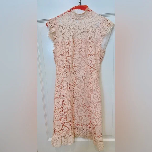 Revolve Aijek eyelash pink lace mini dress keyhole back - Picture 2 of 16